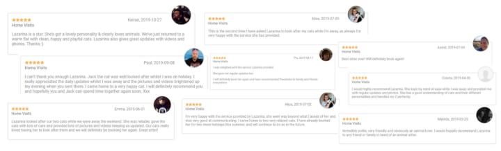 pet sitting reviews