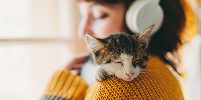 Cute cat sleeping on owner’s shoulder